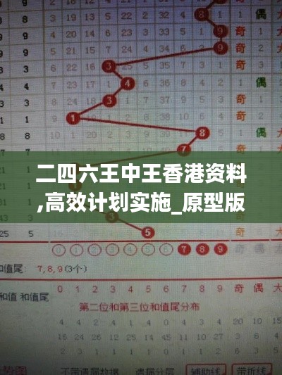 二四六王中王香港资料,高效计划实施_原型版RZN2.2