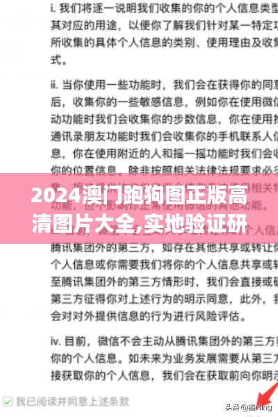 2024澳门跑狗图正版高清图片大全,实地验证研究方案_原创版OJC2.63