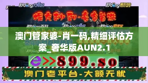 澳门管家婆-肖一码,精细评估方案_奢华版AUN2.1