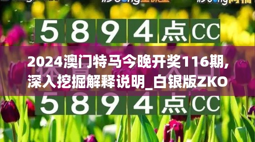 2024澳门特马今晚开奖116期,深入挖掘解释说明_白银版ZKO2.46