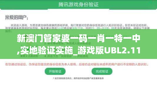 新澳门管家婆一码一肖一特一中,实地验证实施_游戏版UBL2.11