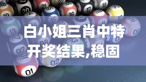 白小姐三肖中特开奖结果,稳固执行战略分析_时尚版JCR2.82