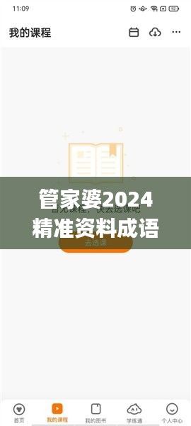 管家婆2024精准资料成语平特,数据指导策略规划_跨界版VCT2.27