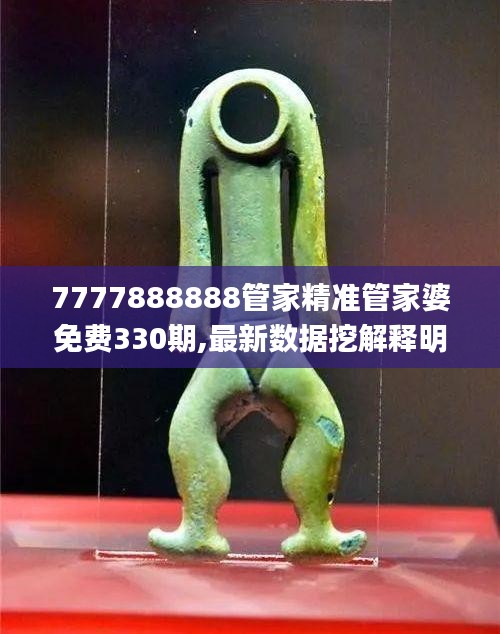 7777888888管家精准管家婆免费330期,最新数据挖解释明_旅行者特别版XAT11.12