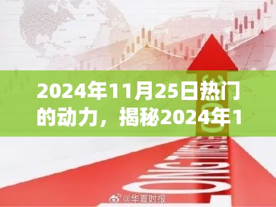 揭秘，2024年11月25日背后的动力热潮揭秘与趋势展望