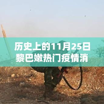 黎巴嫩疫情深度解析，历史上的11月25日疫情消息回顾