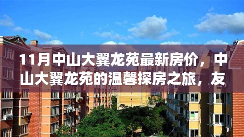 中山大翼龙苑最新房价揭秘，探房之旅与理想家园的奇遇