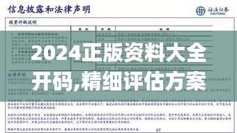 2024正版资料大全开码,精细评估方案_风尚版TDO9.84