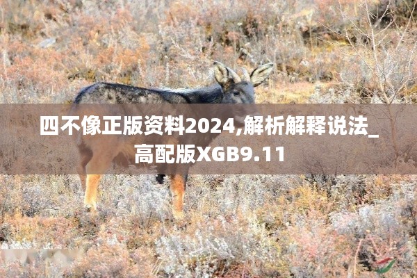 四不像正版资料2024,解析解释说法_高配版XGB9.11