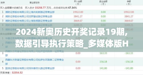 2024新奥历史开奖记录19期,数据引导执行策略_多媒体版HKZ9.82