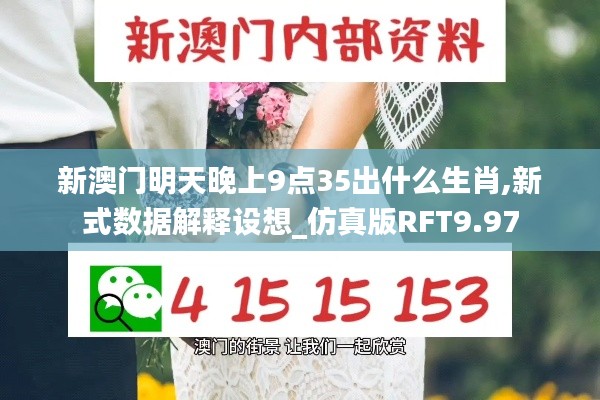 新澳门明天晚上9点35出什么生肖,新式数据解释设想_仿真版RFT9.97