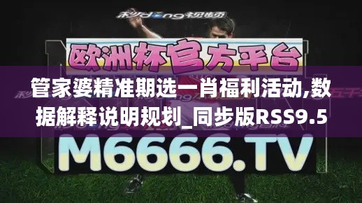 管家婆精准期选一肖福利活动,数据解释说明规划_同步版RSS9.54