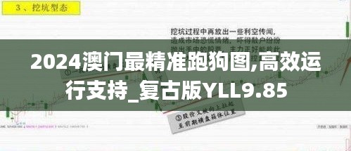 2024澳门最精准跑狗图,高效运行支持_复古版YLL9.85