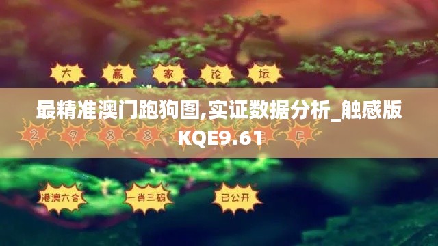 最精准澳门跑狗图,实证数据分析_触感版KQE9.61