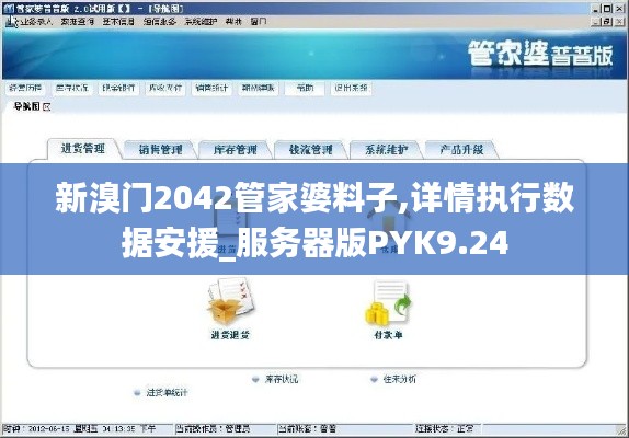 新溴门2042管家婆料子,详情执行数据安援_服务器版PYK9.24