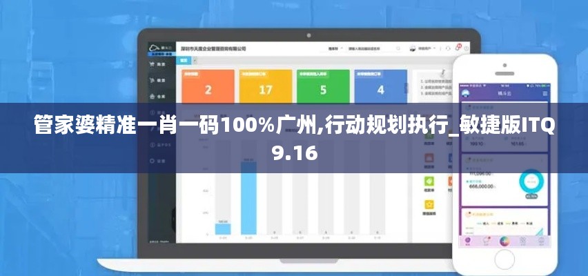 管家婆精准一肖一码100%广州,行动规划执行_敏捷版ITQ9.16