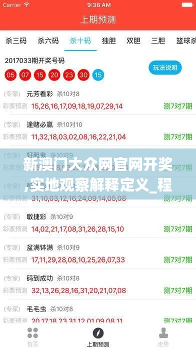 新澳门大众网官网开奖,实地观察解释定义_程序版PQZ9.82