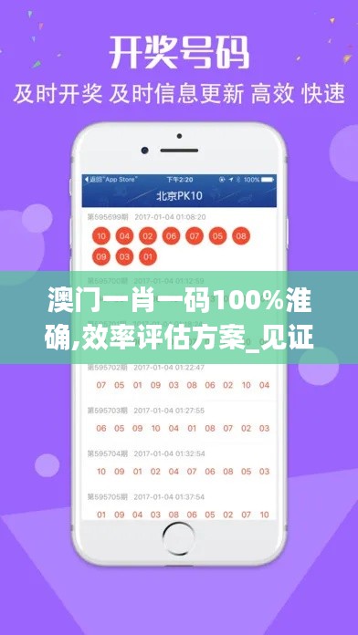 澳门一肖一码100%淮确,效率评估方案_见证版TBW9.71