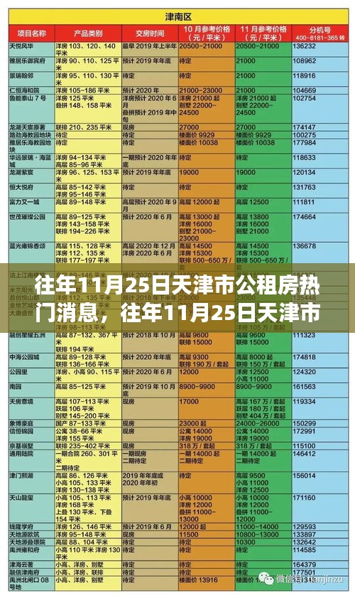 往年11月25日天津市公租房热门消息全面解析，特性、体验、竞争态势与目标用户分析