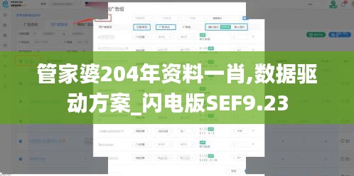 管家婆204年资料一肖,数据驱动方案_闪电版SEF9.23