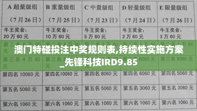 澳门特碰投注中奖规则表,持续性实施方案_先锋科技IRD9.85