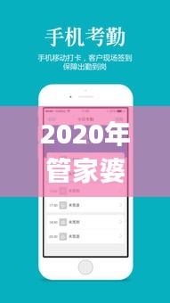 2020年管家婆免费资料大全,效率评估方案_随身版ZHW9.52