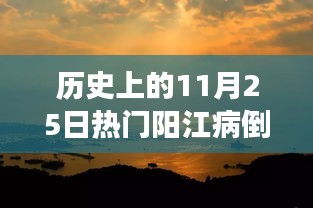 历史上的11月25日阳江病倒事件，深度探讨与启示