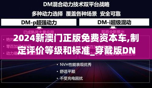 2024新澳门正版免费资本车,制定评价等级和标准_穿戴版DNC9.86