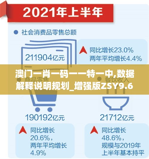 澳门一肖一码一一特一中,数据解释说明规划_增强版ZSY9.65