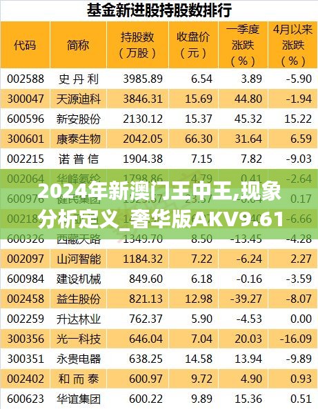 2024年新澳门王中王,现象分析定义_奢华版AKV9.61