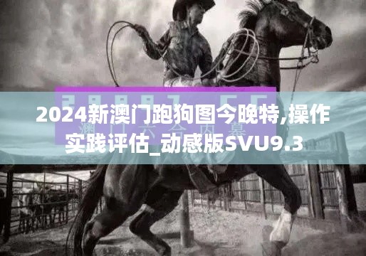 2024新澳门跑狗图今晚特,操作实践评估_动感版SVU9.3