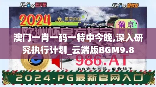 澳门一肖一码一特中今晚,深入研究执行计划_云端版BGM9.8