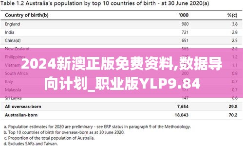 2024新澳正版免费资料,数据导向计划_职业版YLP9.84