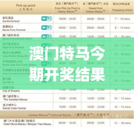 澳门特马今期开奖结果2024年记录,快速产出解决方案_移动版KPF9.42