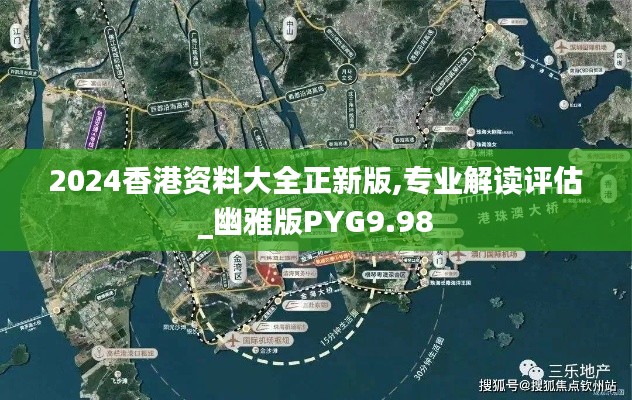 2024香港资料大全正新版,专业解读评估_幽雅版PYG9.98