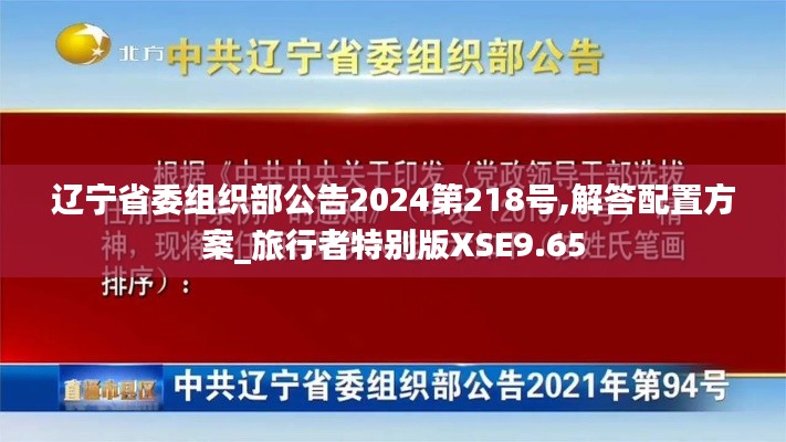 辽宁省委组织部公告2024第218号,解答配置方案_旅行者特别版XSE9.65