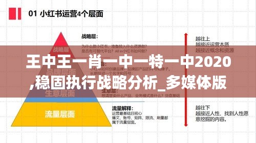 王中王一肖一中一特一中2020,稳固执行战略分析_多媒体版QBR9.59