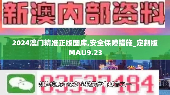 2024澳门精准正版图库,安全保障措施_定制版MAU9.23