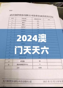 2024澳门天天六开彩免费资料,方案优化实施_媒体版OGN9.31