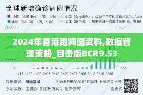 2024年香港跑狗图资料,数据管理策略_目击版BCR9.53