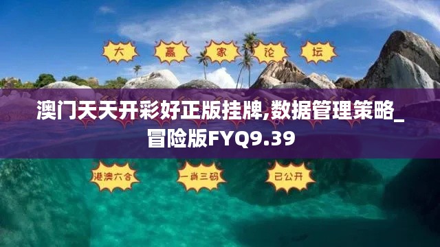 澳门天天开彩好正版挂牌,数据管理策略_冒险版FYQ9.39