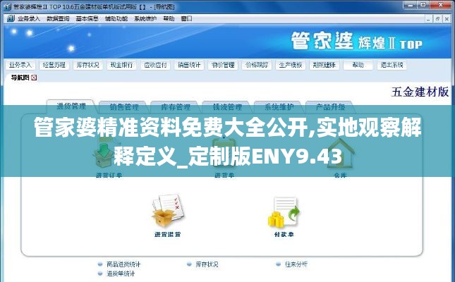 管家婆精准资料免费大全公开,实地观察解释定义_定制版ENY9.43