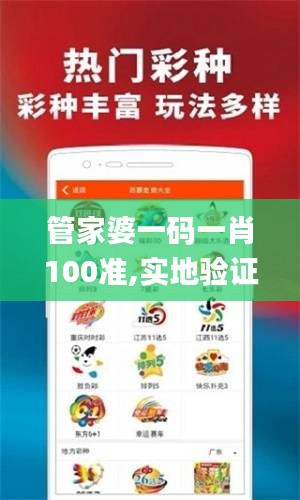 管家婆一码一肖100准,实地验证研究方案_PhabletNAN9.48