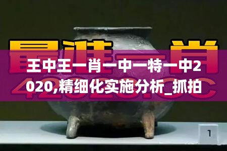 王中王一肖一中一特一中2020,精细化实施分析_抓拍版XGH9.75