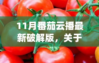 关于11月番茄云播最新破解版的科普探讨与解析