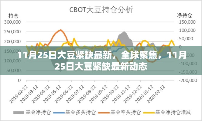 全球聚焦，11月25日大豆紧缺最新动态报告