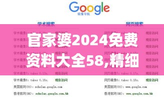 官家婆2024免费资料大全58,精细评估方案_投影版UYL7.43