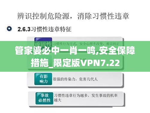 管家婆必中一肖一鸣,安全保障措施_限定版VPN7.22