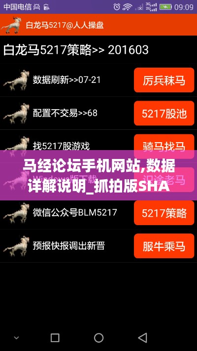 马经论坛手机网站,数据详解说明_抓拍版SHA7.11