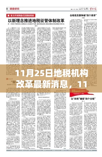 深度解析与观点阐述，11月25日地税机构改革最新消息